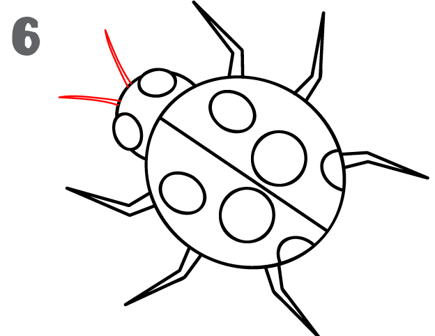 624x482 Ladybug Outline How To Draw A Ladybug Step By Cliparts