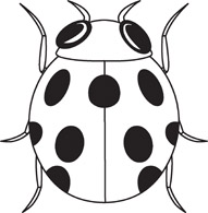 191x195 Best Photos Of Black And White Ladybug Template
