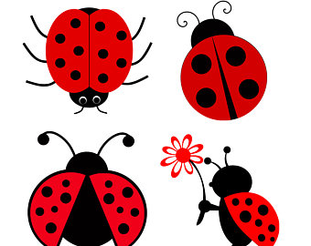 340x270 Ladybug Clipart Cute Button