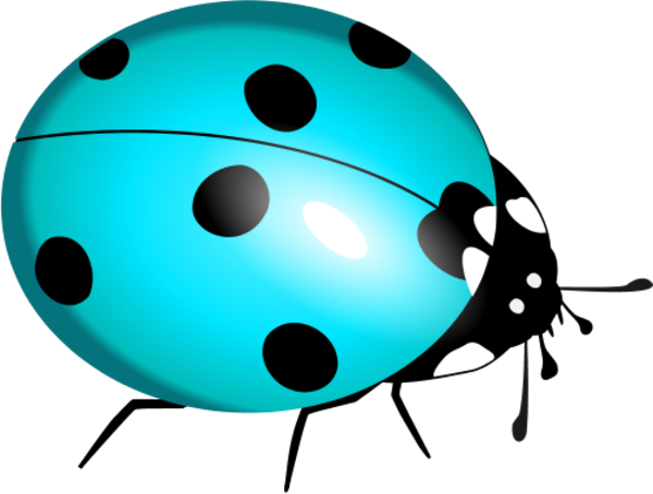 600x454 Ladybug Clipart Teal
