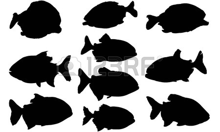 450x270 Komodo Dragon Silhouette Vector Illustration Royalty Free Cliparts