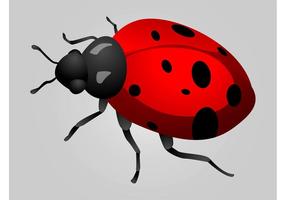 286x200 Ladybug Free Vector Art