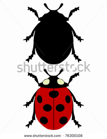360x470 Ladybug Silhouette