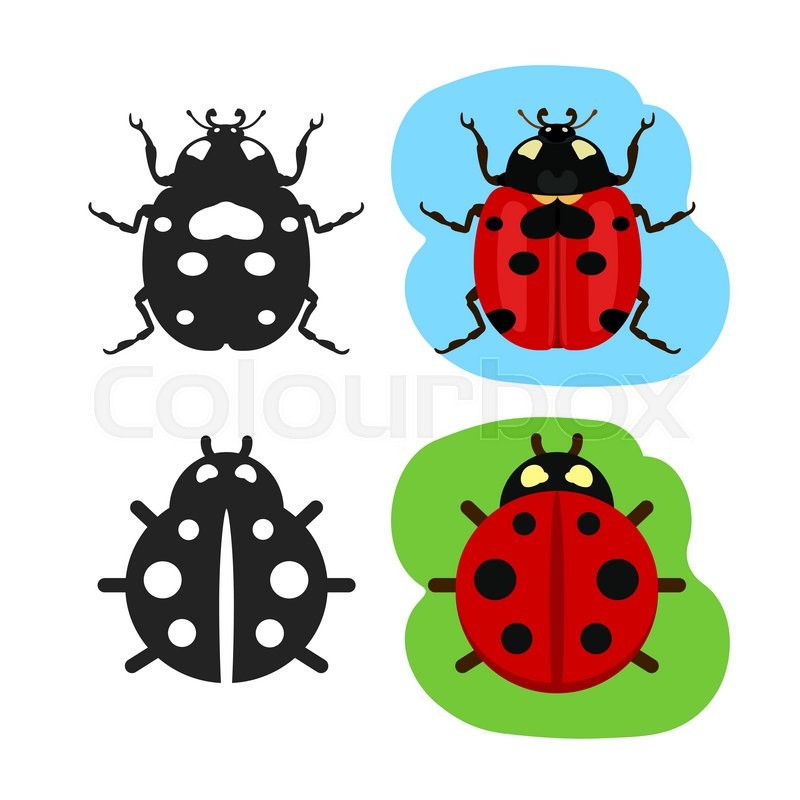 800x800 Ladybug Flat Color Vector Icon, Black Silhouette Bug Ladybug