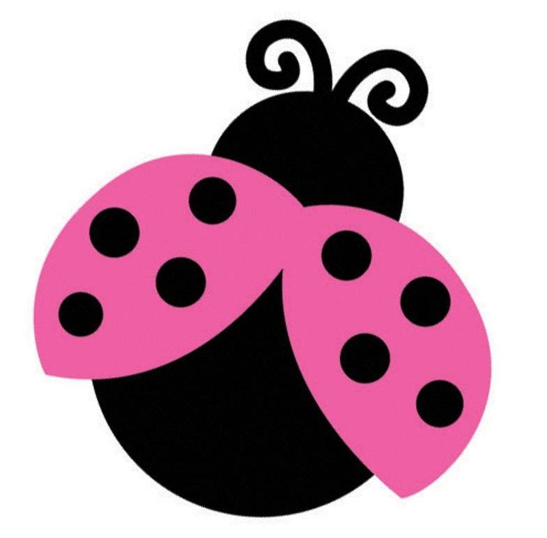 785x772 Bug Clipart Pink Lady
