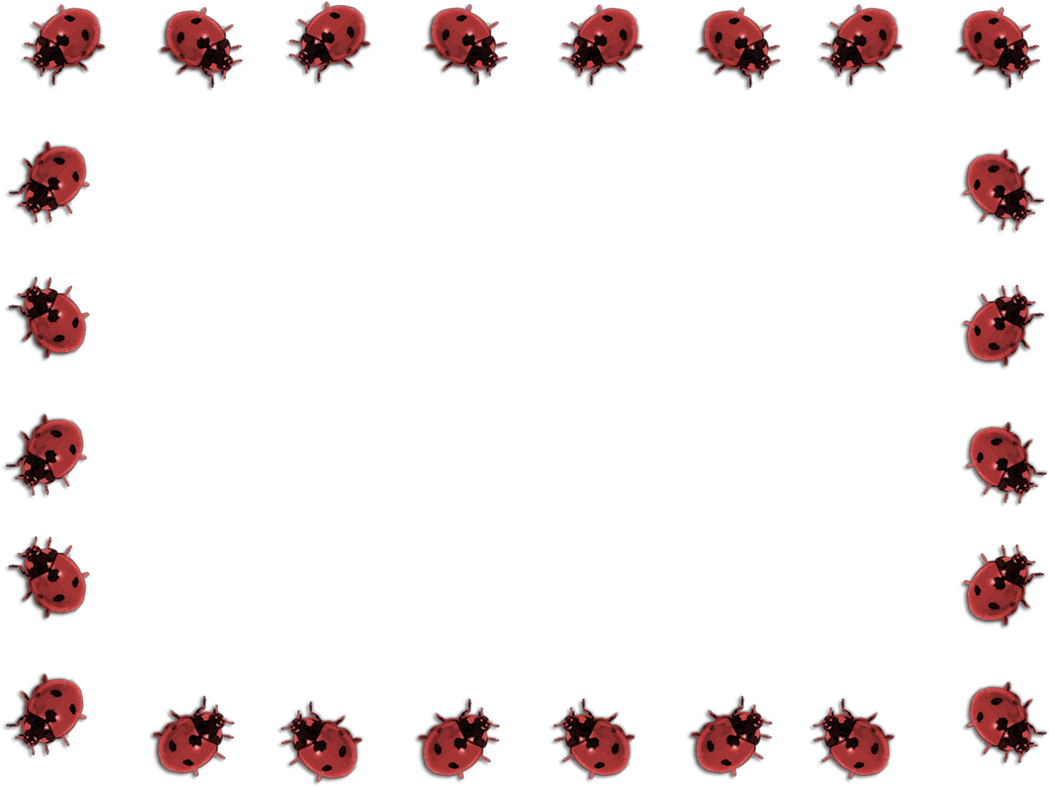 1500x1125 Lady Beetle Clipart Border