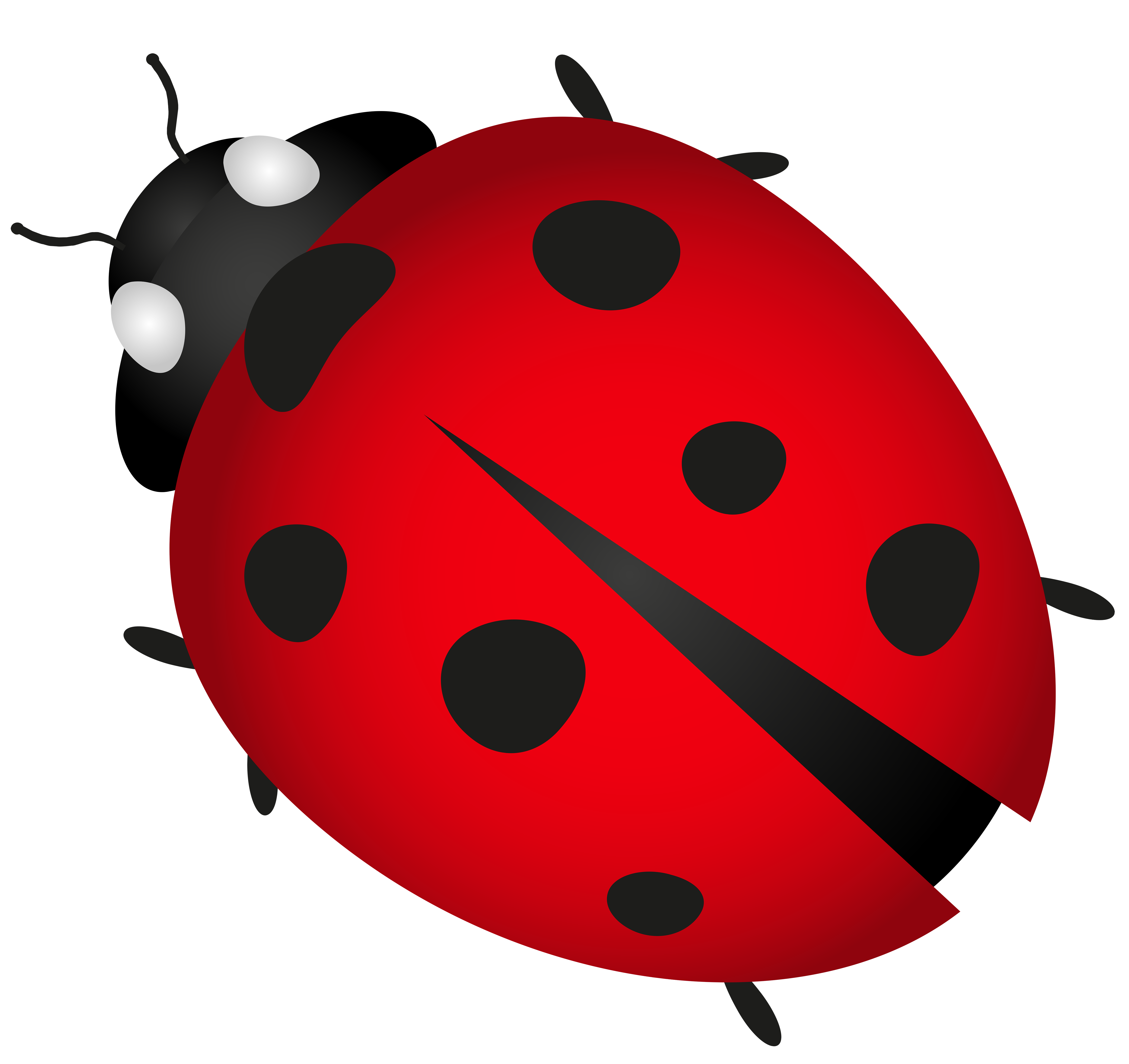 6000x5653 Lady Bug Transparent Png Clip Art Imageu200b Gallery Yopriceville