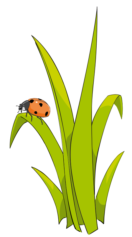 448x800 Ladybug Clipart Grass Flower
