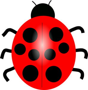 294x298 Realistic Clipart Ladybug