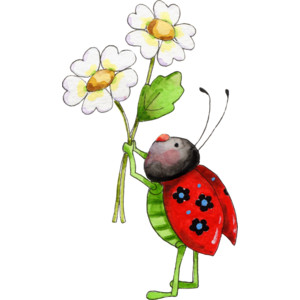 300x300 Illustrated Ladybug Art Cartoon Ladybug Clipart An Illustrated