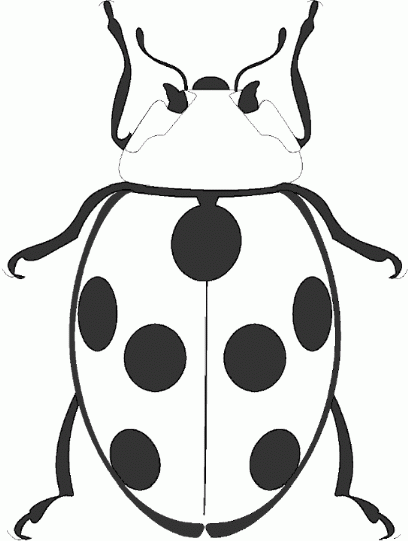 408x541 Everything Ladybug! The Source For Ladybug Stuff!