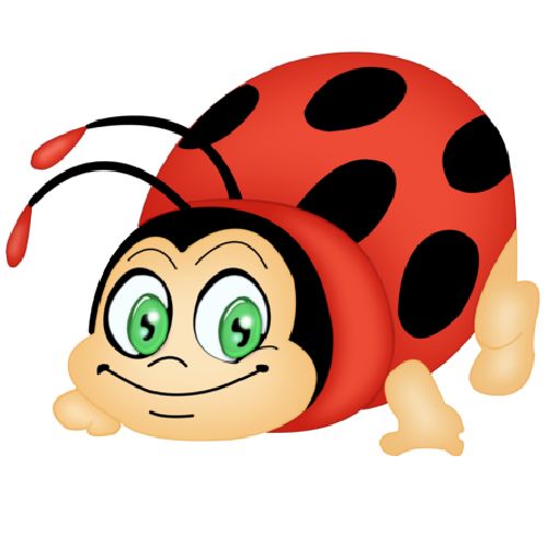 500x500 Female Ladybugs Cartoon Ladybug Of Old Clipart