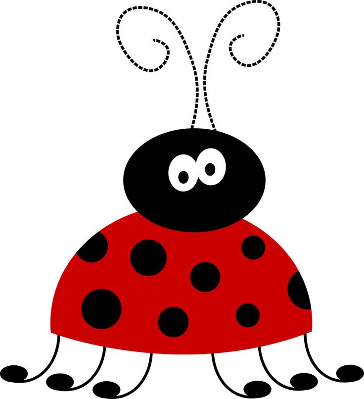 736x806 842 Best Ladybug Images Draw, Butterflies