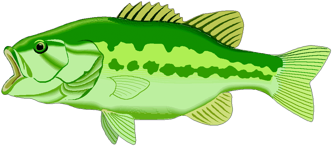 1161x510 Lake Fish Clipart, Explore Pictures