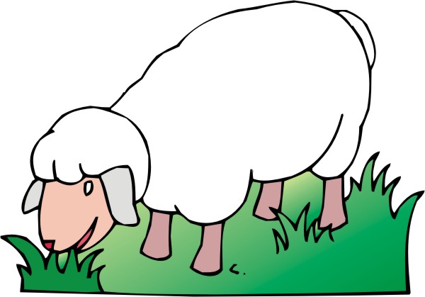 600x419 Sheep Clipart