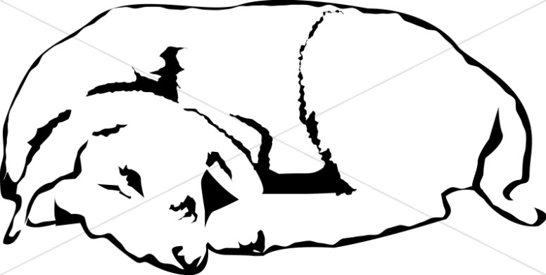 776x391 Sleeping Nativity Lamb Nativity Clipart