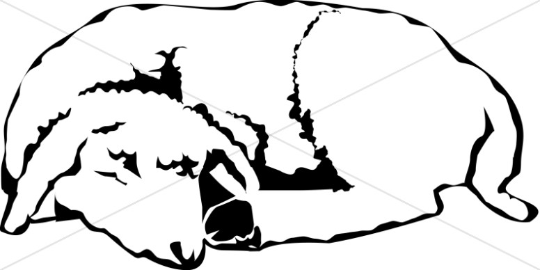 776x388 The Sleeping Lamb Christian Shepherd Clipart