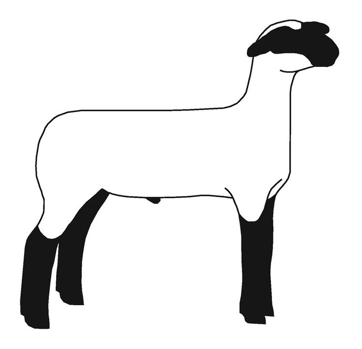 736x710 Market Lamb Clipart