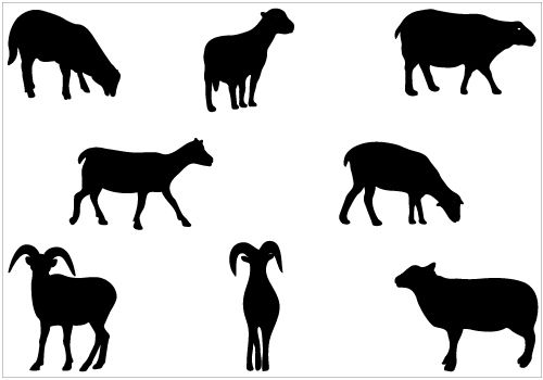 500x350 Sheep Silhouette Vector Clip Art Packsilhouette Clip Art Animal