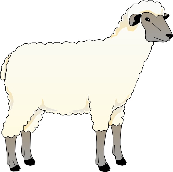 600x599 Art With Sheep