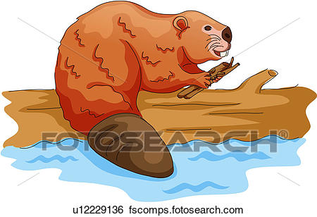 450x308 Clip Art Of Wild Animal, Vertebrate, Beaver, Land Animal, Mammal