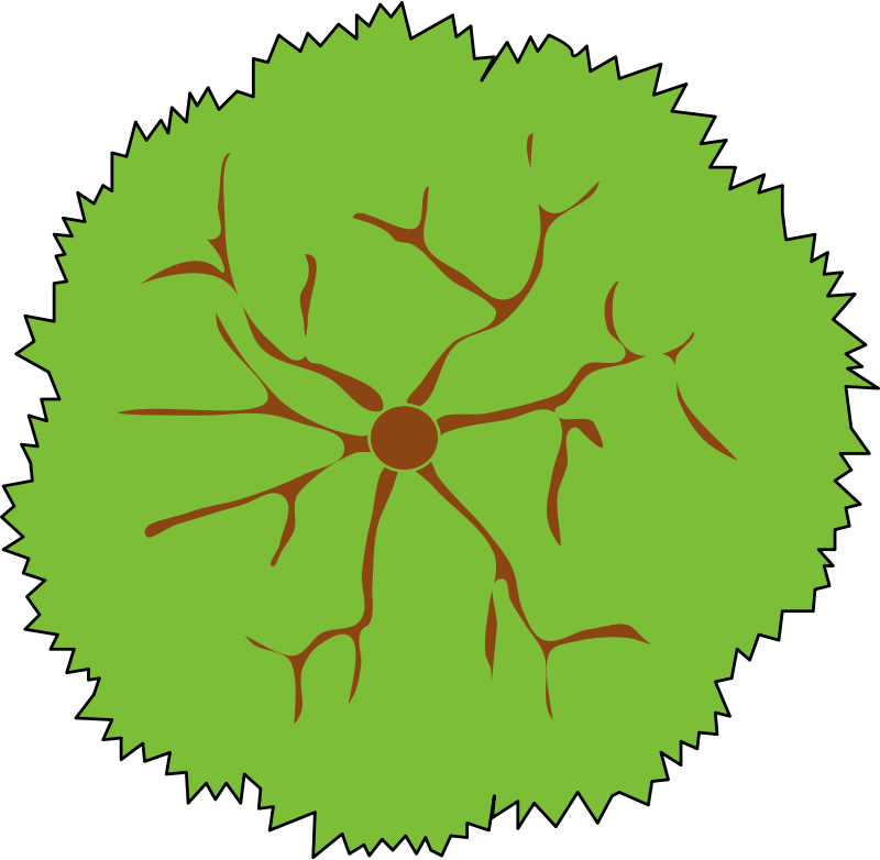 800x782 Landscaping Symbols Clipart