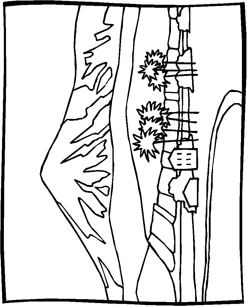 828x1024 Kids N 10 Coloring Pages Of Landscapes