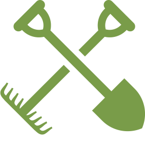 283x283 Shrubs And Plantings