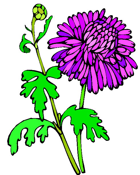 490x609 Clipart Plants And Flowers