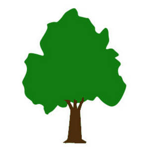 300x300 Tree Clipart