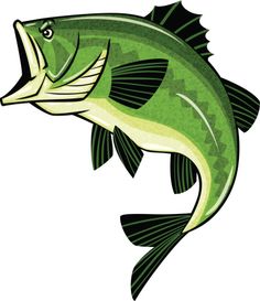 Largemouth Bass Clipart | Free download on ClipArtMag