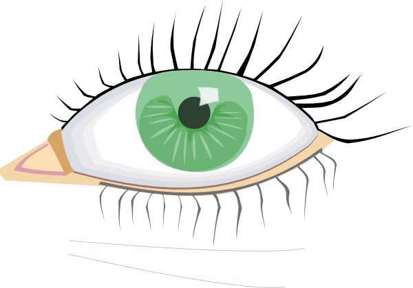 600x419 Eye Clip Art