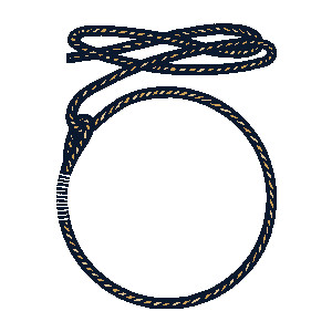 300x300 Rope Clipart Lasso