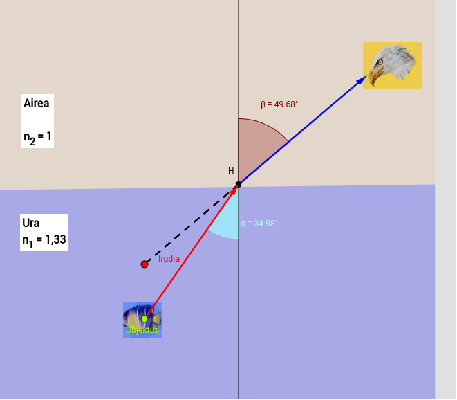 661x578 Dioptrio Laua Arranoa