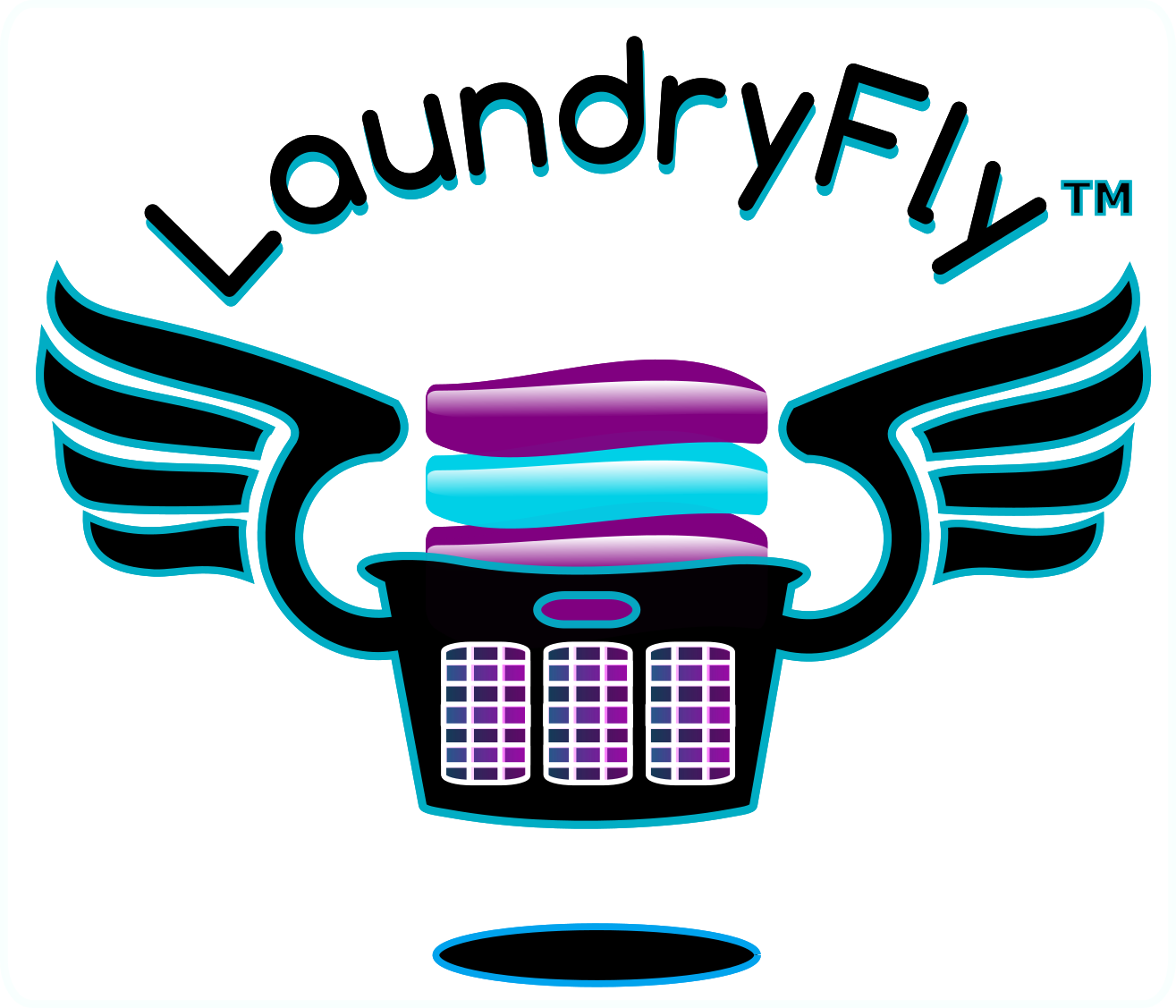 1315x1127 Welcome To Laundryfly Laundry Delivery