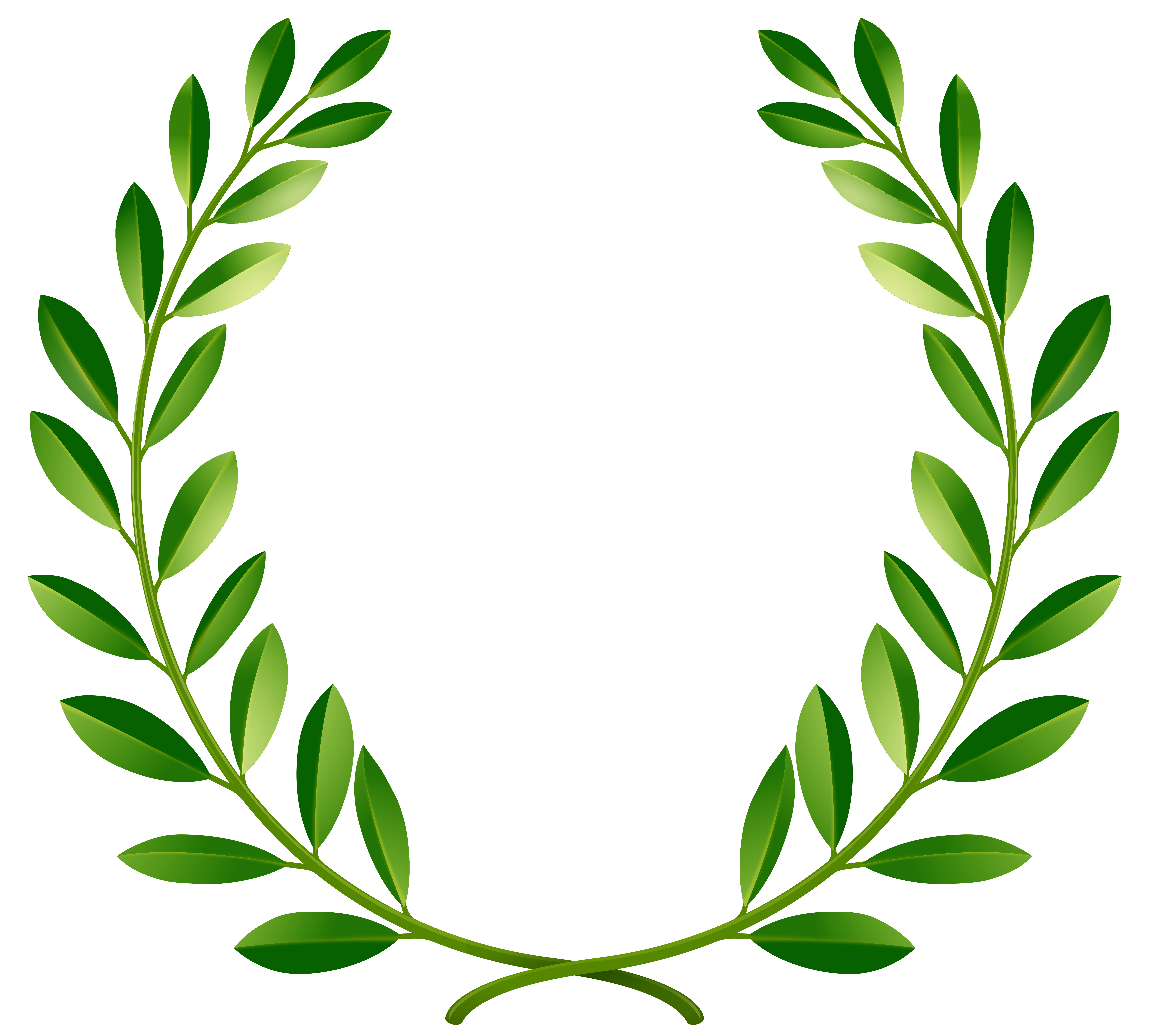 8000x7194 Green Laurel Leaves Png Clip Art Imageu200b Gallery Yopriceville