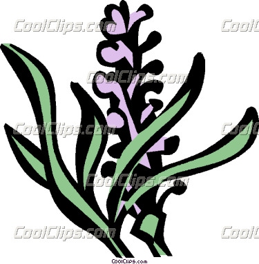 375x383 Lavender Clipart Flower Bush