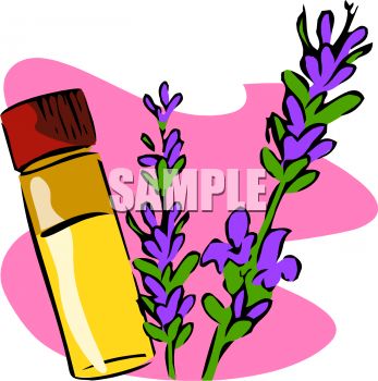 Lavender Clipart | Free download on ClipArtMag