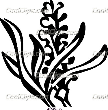 374x383 Whitish Lavender Clipart