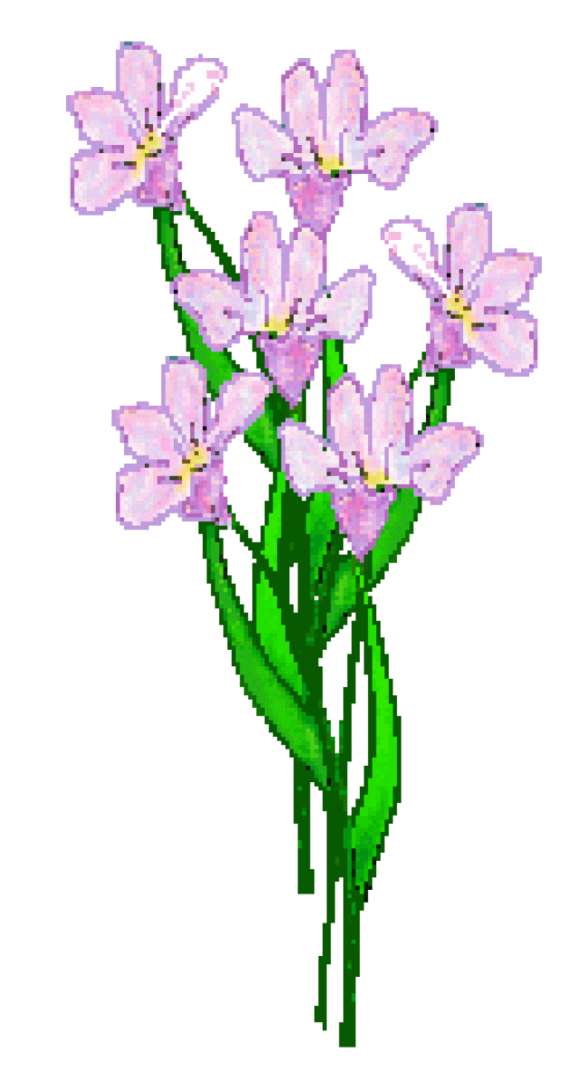 640x1184 Lavender Flower Clip Art