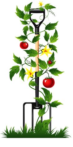 236x476 Best Lavender Clipart