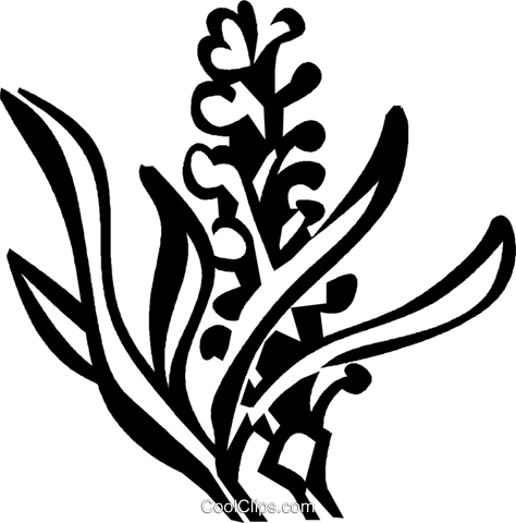 474x480 Lavender Royalty Free Vector Clip Art Illustration Vc027415