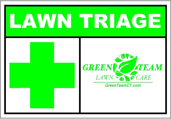 728x507 Lawn Triage Green Team Ct Lawn Care Services. Mowing, Seeding