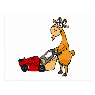 324x324 Cartoon Lawn Mowers Gifts On Zazzle