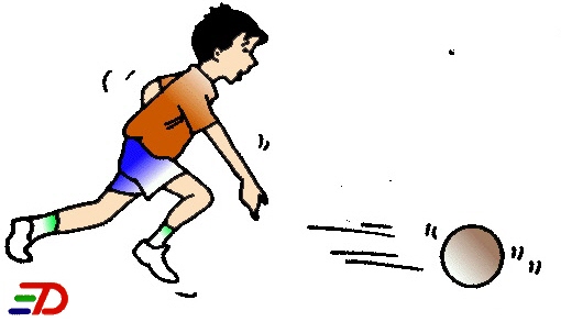 510x293 First Law Clipart