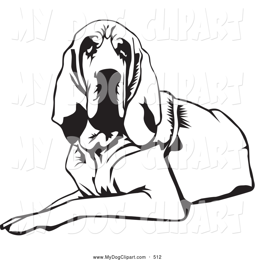 1024x1044 Clip Art Of A Tired And Lazy Bloodhound Dog, Or St. Hubert Hound
