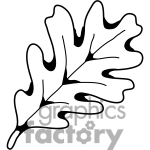 300x300 Leaf Clipart White Oak