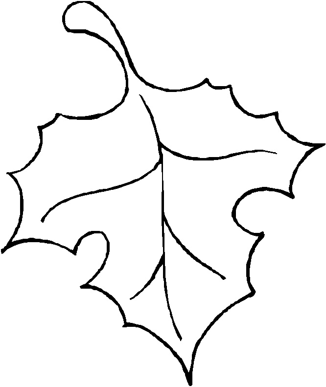 666x791 Best Fall Leaves Clip Art Black And White