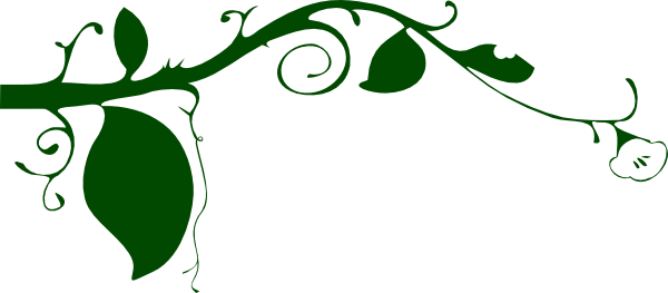 600x263 Dark Green Vine Border Clip Art