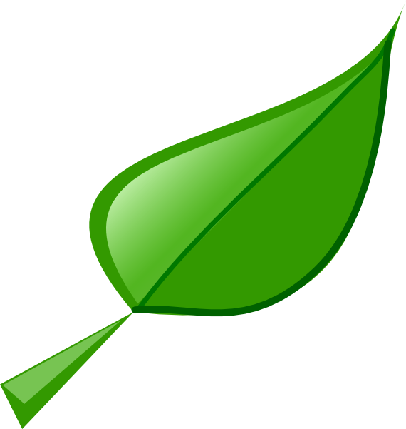 570x601 Leaf 2 Clip Art